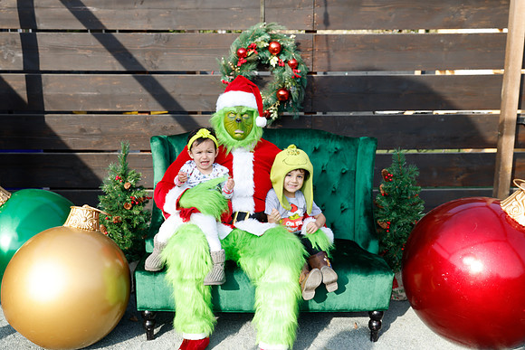 grinch_158