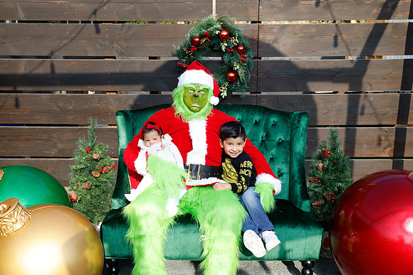 grinch_23