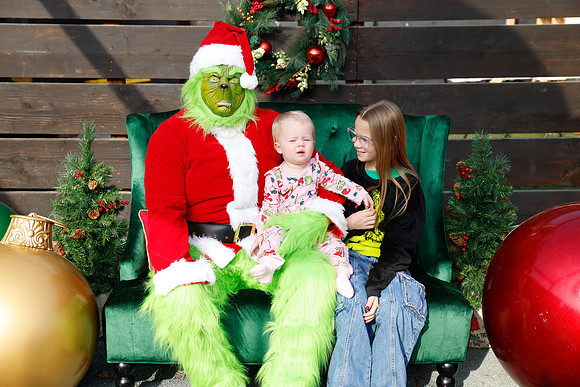 grinch_145