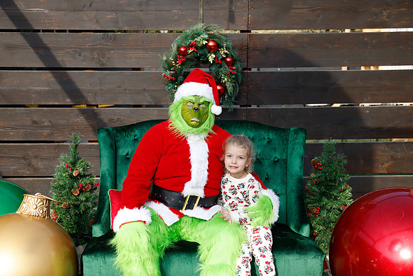 grinch_139