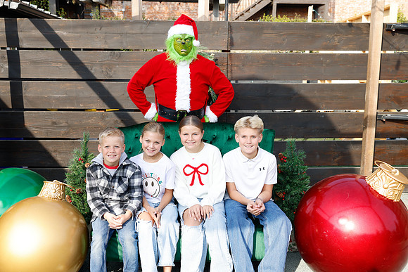 grinch_153