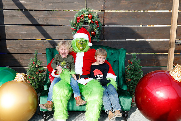 grinch_151