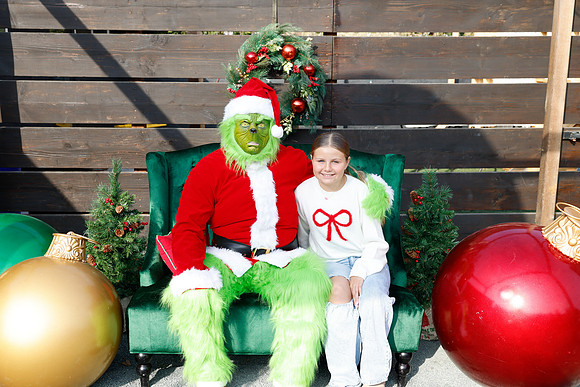 grinch_152