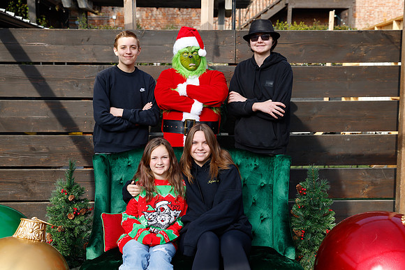 grinch_133