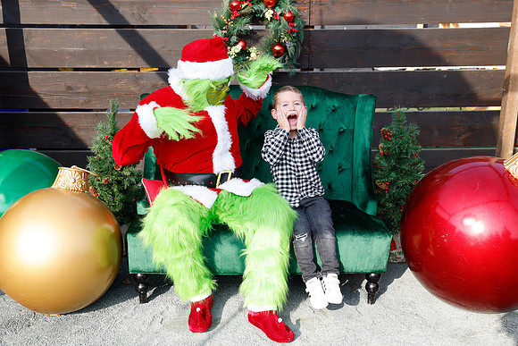 grinch_156
